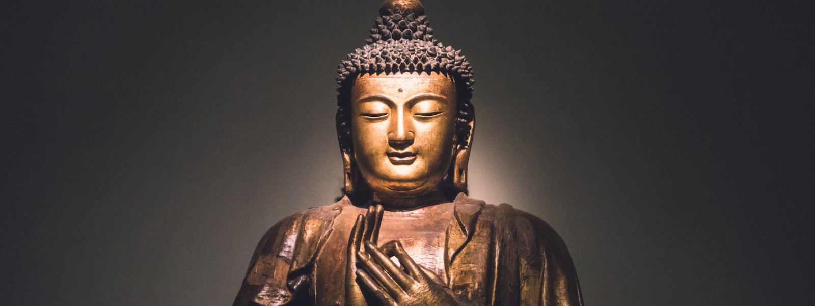 Ein Buddha, viele Buddhismen